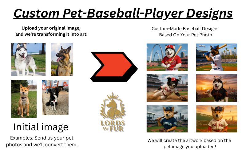 How We Make The Custom Pet-Baseball-Player Designs