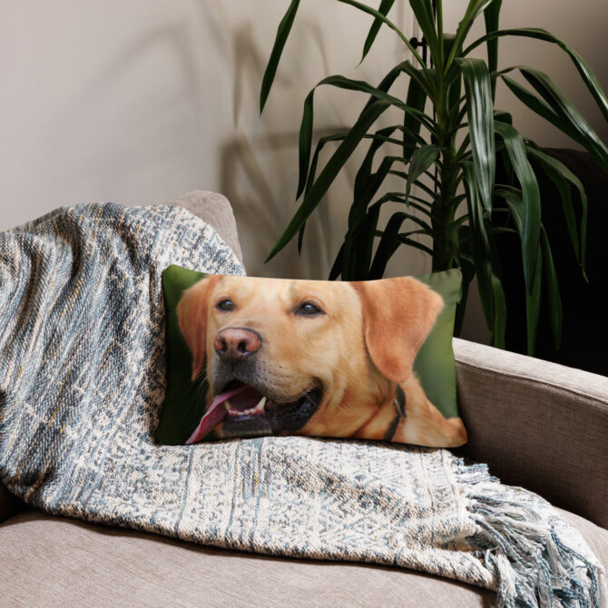 Custom Pet Photo Pillow – Print Your Pet’s Picture - Image 4