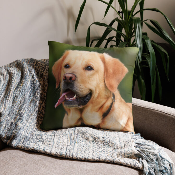 Custom Pet Photo Pillow – Print Your Pet’s Picture - Image 6