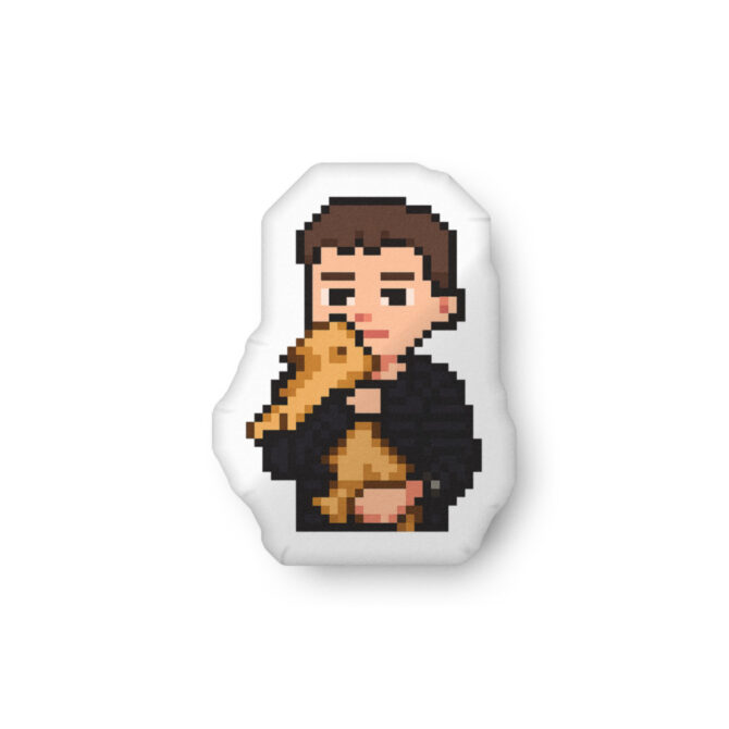 Custom Shaped Pet Pillow – Retro Pixel Art Style - Image 3