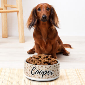 Custom Pet Bowl – Treats Design with Name Print