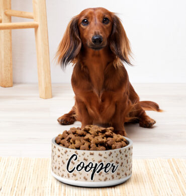 Custom Pet Bowl – Treats Design with Name Print