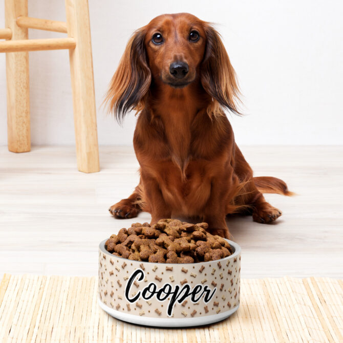Custom Pet Bowl – Treats Design with Name Print